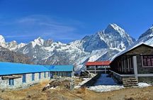 Majestic Views & Mountain Trails: Pokhara 5-Day Poon Hill Treks