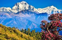 Majestic Views & Mountain Trails: Pokhara 5-Day Poon Hill Treks
