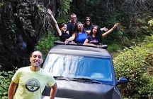 Madeira: Experiência 4WD Skywalk para Seixal Porto Moniz, Fanal