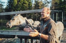 Kristiansand Guided Bus Tour and Moose Park Experience