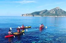 Guided Kayak Tour from Sant Elm to Sa Dragonera