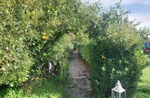 Small Group Pasta and Tiramisu Class in Taormina