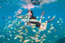 Island Hopping Gili Asahan, Gede, Rengit, Layar and Goleng