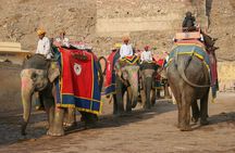 Jaipur Pink City Private Day Trip from Delhi