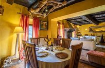 A Culinary Journey Through Time 