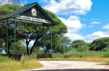 Tarangire National Park Day Trip