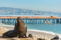 Explore Valparaíso and Viña del Mar Tour