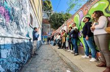 Explore Valparaíso and Viña del Mar Tour