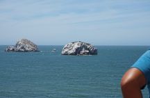 "Private Adventure in Pneumonia by Mazatlan"