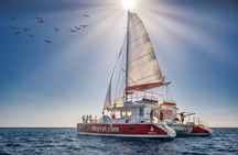 Catamaran Obycat Gran Canaria Tour