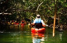Key West Hidden Sanctuary Mangrove Kayak Tour With Drinks