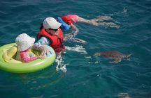 Yellow Boat Cruises: Afternoon Family Blue Lagoon & Turtle Cruise
