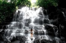Private Ubud Instagrammable Tour - All Inclusive