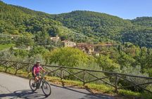 Florence Countryside: eBike Tour Virtual-guided