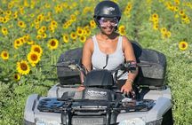 1 hour of ATV + 1 hour horse ride-- free videos and pictures