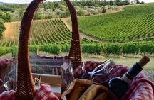 Florence Countryside: eBike Tour Virtual-guided