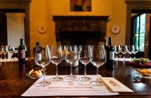 Florence Countryside: eBike Tour Virtual-guided