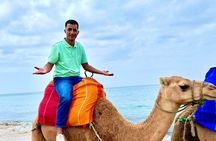 Tangier Full-Day Private Tour with Camel Ride Experience