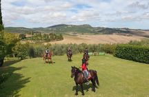 Horseback riding in the hills of Montepulciano in Tuscany