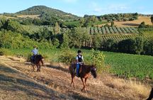 Horseback riding in the hills of Montepulciano in Tuscany