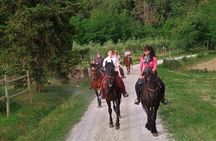 Horseback riding through the vineyards in Montepulciano Tuscany