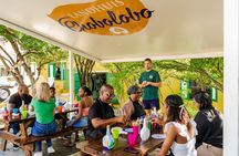 Chobolobo's Art Workshop At The Curaçao Liqueur Distillery