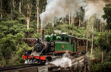 Puffing Billy Train and Phillip Island Penguin Parade Day Tour