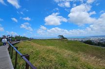 Auckland City Halfday Guide Tour