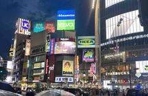 Tokyo City Customized Private Day Tour