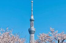 Tokyo Customizable Private Tour with Private Driver（10 hours)