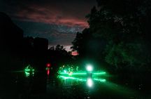 Glow Kayak Night Adventure in the Mangroves