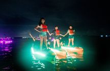 Glow Kayak Night Adventure in the Mangroves