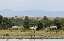 Day Tour to OL Pejeta Conservancy