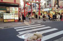 Explore Yokohama Chinatown with History and Culture