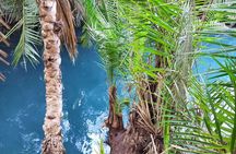 Materuni watrefalls, coffee tour & chemka hot spring tour