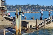 San Francisco Bay Cruise, Muir Woods and Sausalito Combo Tour