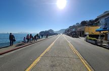 San Francisco Bay Cruise, Muir Woods and Sausalito Combo Tour