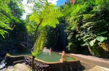 Ubud Waterfalls Water Temple and Rice Terraces Private Tour