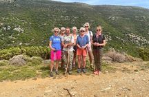 River Trekking to the Waterfall in Andros