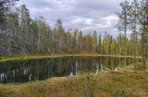 Live the Day with Locals in Lapland Area.