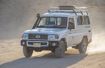 Full Day Super Safari ATV Quad, Camel Ride, Dinner and Show