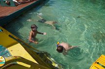 Private customized island tour 