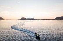 Wildlife Sea Safari in Alesund