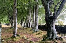 Invergordon Shore Excursion Loch Ness, Distillery and Castles