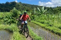 Bali Bike Tour Ubud Area