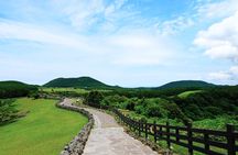 Full Day Customizable Jeju Private Tour with licensed tour guide