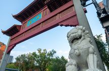 Montreal Red Light District and Chinatown Tour