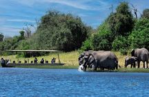 Chobe Day Trip