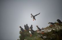 Mykines Private Hike and Tour Adventure 