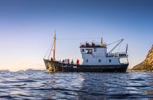 Fishing Trip in Alesund
